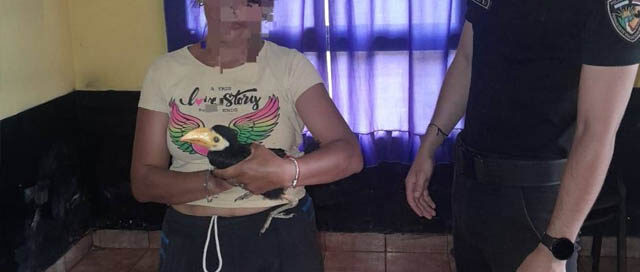 Gral. Urquiza: Rescatan un tucán en Puerto Menocchio y lo trasladan a un centro de fauna silvestre